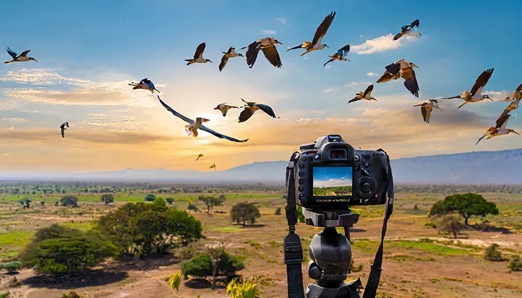 a camera on a tripod filming birds in the sky on the wa